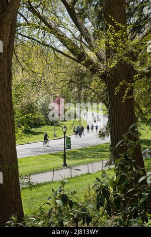 New Yorker genießen Outdoor-Aktivitäten im Central Park, Springtime, New York City, USA 2022 Stockfoto