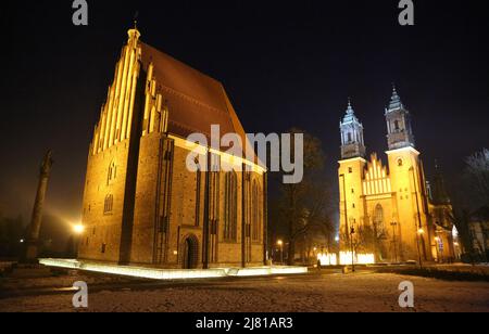 Kathedrale - Posen, Polen Stockfoto