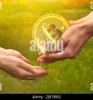 Ein Mann schenkt einer Frau Blumen und eine Kryptowährung. Blumen und eine goldene Bitcoin-Münze in zwei männlichen Händen sind auf weibliche Hände gerichtet. Stockfoto