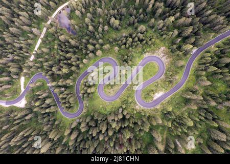 Top Luftaufnahme der berühmten Snake Road in der Nähe von Passo Giau in den Dolomiten. Kurvenreiche Bergstraße in üppigem Wald mit grüner Fichte im Sommer in der D Stockfoto