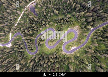 Top Luftaufnahme der berühmten Snake Road in der Nähe von Passo Giau in den Dolomiten. Kurvenreiche Bergstraße in üppigem Wald mit grüner Fichte im Sommer in der D Stockfoto