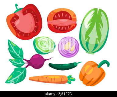 Gemüse Gemüse Gemüse Sammlung Set Illustration geschnitten Tomaten Rüben Zwiebel Karotten Kohl Chili und Paprika Stock Vektor