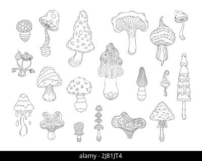 Psychedelischer Pilz. Abstrakte handgezeichnete Färbung Amanita und Hippie-Pilze, stilisierte lineare magische Pilze Grafik. Vektor-isolierter Satz Stock Vektor