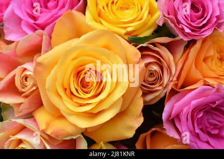 Nahaufnahme eines Straußes von Rosen in gelb-orangen und rosa Farben Stockfoto