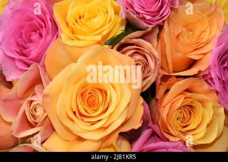 Nahaufnahme eines Straußes von Rosen in gelb-orangen und rosa Farben Stockfoto