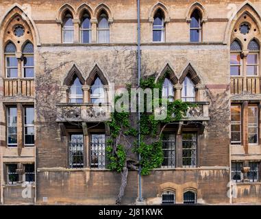 Christ Church, Oxford, eines der konstituierenden Colleges der Universität Oxford; das Gebäude mit Blick auf die Spielfelder Stockfoto