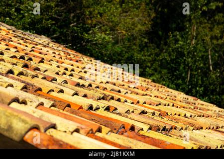 Fliesendach und grünes Laub Stockfoto