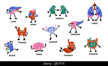 Menschliche Körper Organe Zeichen. Cartoon niedliche Anatomie Maskottchen Personen mit Händen Beine und glückliche Gesichter. Vektor Niere Magen Lungen Zeichensatz Stock Vektor