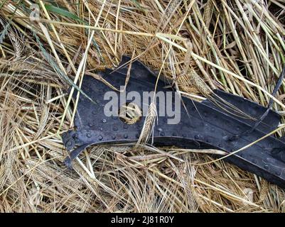 02. Juli 2002, Baden-Württemberg, Überlingen: Trümmer des abgestürzten russischen Flugzeugs liegen in einem Kornfeld. Mehr als 70 Menschen wurden am 4. Juli 2002 bei einer Flugzeugkollision über dem Bodensee getötet. Eine Tupolev TU-154 von Bashkirian Airlines war mit einem Frachtflugzeug der Boeing 757 des Paketdienstes DHL kollidiert. Foto: Felix Kästle/dpa Stockfoto