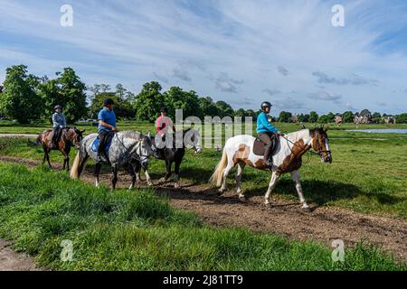 London, 12. Mai 2022. Eine Gruppe von Reitern an einem hellen Morgen am Wimbledon Common, da die Temperaturen in London und Südengland in den kommenden Tagen steigen werden. Kredit. amer Ghazzal/Alamy Live Nachrichten Stockfoto