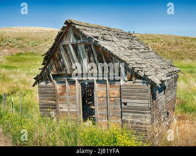 Eine alte Holzscheune steht auf den Feldern in der Nähe von Molson, Washington. Stockfoto