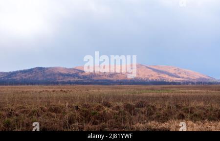 Schönes Bergland mit Wald. Malerische Aussicht auf die endlosen Weiten des hügeligen Geländes und eine große Bergkette am Horizont. Qualitativ hochwertige Phot Stockfoto