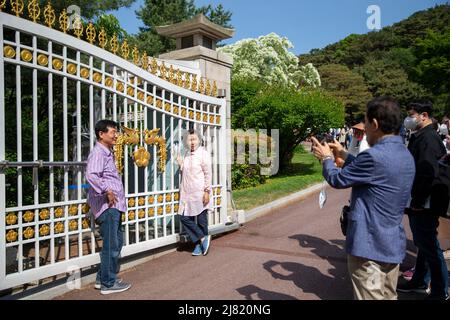 Seoul, Südkorea. 12.. Mai 2022. Menschen posieren für Fotos im Cheong Wa DAE in Seoul, Südkorea, 12. Mai 2022. Cheong Wa DAE wurde am Dienstag der Öffentlichkeit zugänglich gemacht und beendete seine Rolle als Ort des Präsidialamtes. Quelle: Wang Yiliang/Xinhua/Alamy Live News Stockfoto