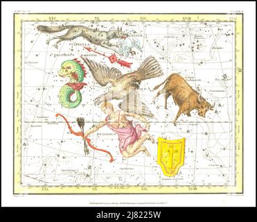 Alexander Jamieson - Aquila, Antinoos, Scutum, Stier, Schütze, Vulpecula, Anser - Delphinus - Platte 10 - 1822 Stockfoto