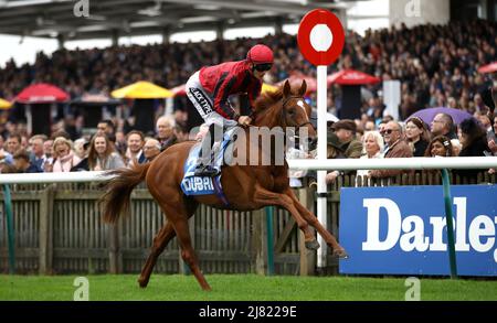 File photo dated 12-10-2019 of Max Vega, Age sah so aus, als hätte er Stradivarius in der vergangenen Saison bei Gelegenheiten eingeholt, und in diesem Sinne lohnt es sich, sich mit Max Vega im Paddy Power Yorkshire Cup zu stellen. Ausgabedatum: Donnerstag, 12. Mai 2022. Stockfoto