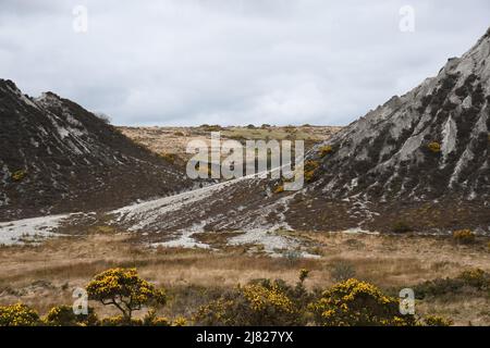 Der verlassene Glynn Valley China Clay Pit Temple Bodmin Moor Cornwall Stockfoto