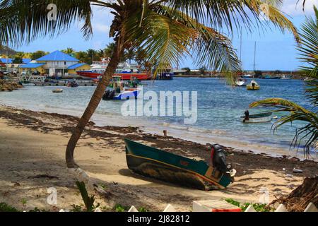 Plage de l'Ile de La Désirade en Guadeloupe sous les palmiers Stockfoto