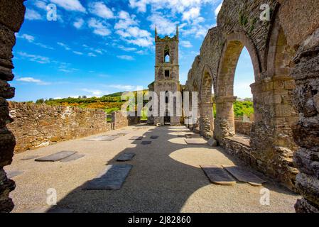 Ruinen der Baltinglass Abbey, County Wicklow, Irland Stockfoto