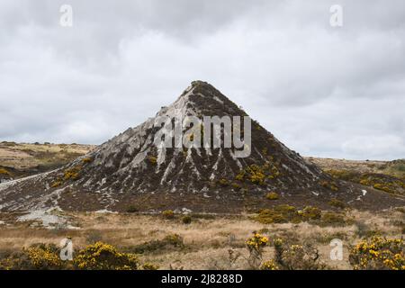 Der verlassene Glynn Valley China Clay Pit Temple Bodmin Moor Cornwall Stockfoto