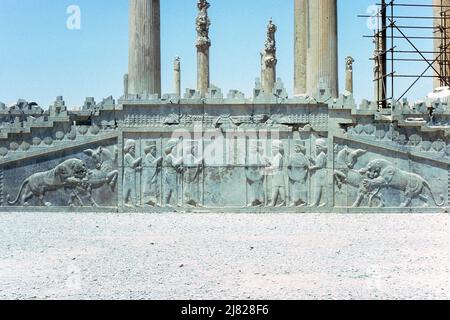 Persepolis, Iran - Osttreppe der Apadana (Audienz-Halle), begonnen von Darius und beendet von Xerxes, in den Ruinen der alten Stadt Persepolis, zeremonielle Hauptstadt des Achämenidenreiches, in der Provinz Fars, Iran. Archivbild aus dem Jahr 1976 Stockfoto