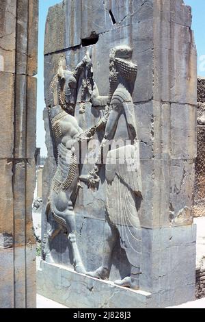 Persepolis, Iran - Wandrelief, das zeigt, wie ein König einen gehörnten Löwen in der Türpfosten der Thronhalle, auch bekannt als die Halle der hundert Säulen, in den Ruinen der antiken Stadt Persepolis, der zeremoniellen Hauptstadt des Achämeniden-Reiches, in der Provinz Fars, Iran, tötete. Archivbild aus dem Jahr 1976 Stockfoto