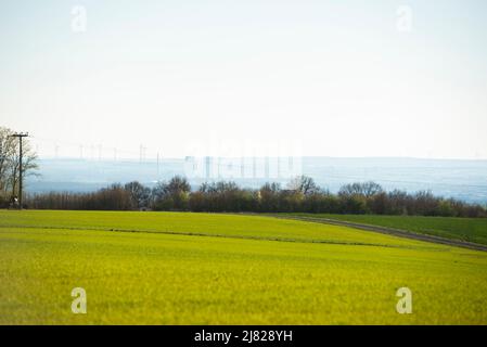 Getreidefelder in der Nähe von Marktsteinach, Deutschland mit ruhenden Kernkühltürmen und aktiven grünen Windmühlen in der Ferne. Stockfoto