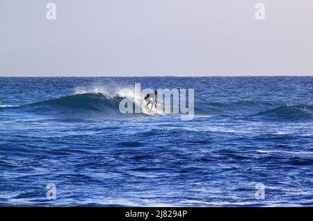 UN surfeur sur la Mer de Anse des Rochers, Saint-François, Guadeloupe Stockfoto