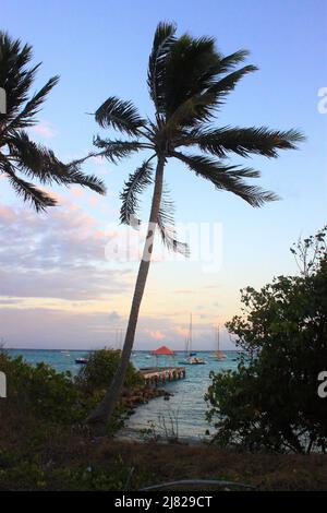 Plage de Saint-François en fin de journée, Guadeloupe Stockfoto