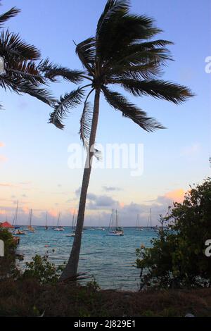 Plage de Saint-François en fin de journée, Guadeloupe Stockfoto