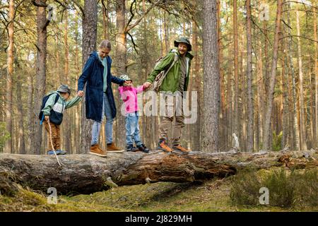 Familie mit Kindern, die im Wald auf einem umgestürzten Baum spazieren Stockfoto