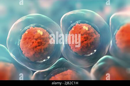 Zellen unter dem Mikroskop. Forschung an Stammzellen. Zelltherapie. Zellteilung. 3D Abbildung auf hellem Hintergrund Stockfoto