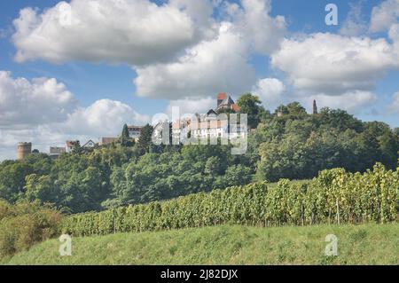 Weindorf Neuleiningen, Pfalz Weinregion, Rheinland-Pfalz, Deutschland Stockfoto