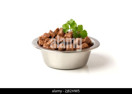 Leckeres Naßfutter für eine Katze oder einen Hund, Stück nahrhaftes Fleisch für ein Tier, einen Hund oder eine Katze auf einem Teller auf weißem Grund. Stockfoto