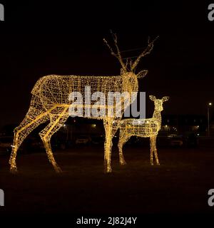 Zwei leuchtende Hirschfiguren stehen auf dem Nachtrasen. Weihnachtsdekoration der Stadt Stockfoto