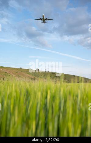 Genieße, was meine Augen sehen Stockfoto