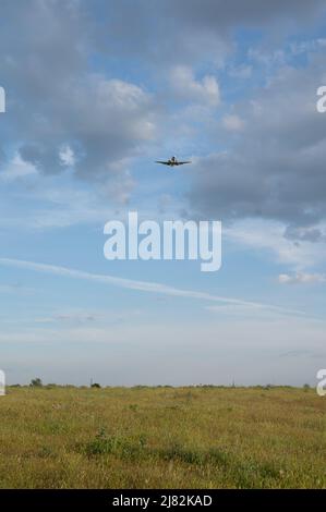 Genieße, was meine Augen sehen Stockfoto