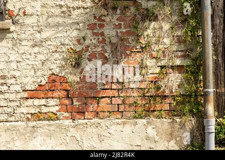 Hausfassade Vintage bröckelnden Putz und Ziegelwand Stockfoto