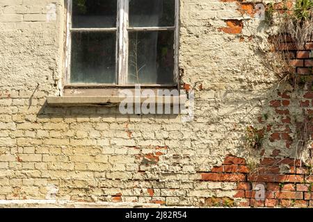 Hausfassade Vintage bröckelnden Putz und Ziegelwand Stockfoto