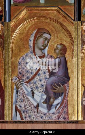 Madonna col Bambino, particolare del polittico - tempera su tavola - Pietro Lorenzetti - 1320 - Arezzo, Italia,chiesa di S. Maria della Pieve Stockfoto