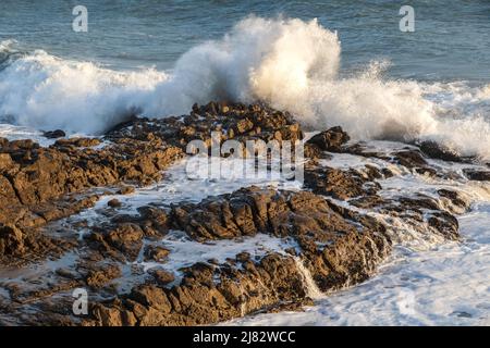 Wellenbrecher an der felsigen Küste bei Ebbe in der Nähe von Malibu, Kalifornien. Sprühen Sie in die Luft. Schaum und Wasser lassen die Felsen abfließen. Stockfoto