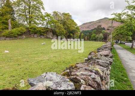 Moosbedeckte Steinmauern in Grasmere, Lake District, England, Großbritannien Stockfoto