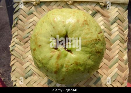 Frische Guava Frucht von hellgrüner Farbe und große knusprige Guava Single. Farm Fresh Guava verkauft auf Straßen von Indien auch bekannt als Amrud Stockfoto