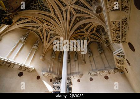 WIEDERERÖFFNUNG DES CLUNY MUSEUMS PARIS Stockfoto