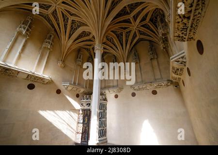 WIEDERERÖFFNUNG DES CLUNY MUSEUMS PARIS Stockfoto