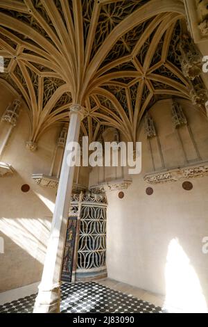 WIEDERERÖFFNUNG DES CLUNY MUSEUMS PARIS Stockfoto