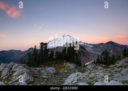 WA21545-00...WASHINGTON - Licht von der aufgehenden Sonne, das den Gipfel des Mount Baker vom Artist Point aus im Mount Baker-Snoqualmie National Fore berührt Stockfoto