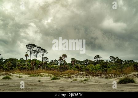 Wolkiger Himmel über Dünen, Vegetation und Bäumen der Küste von South Carolina, Hunting Island Stockfoto