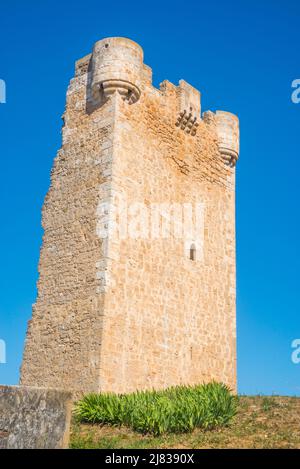 Hoyales Tower. Hoyales de Roa, Provinz Burgos, Castilla Leon, Spanien. Stockfoto