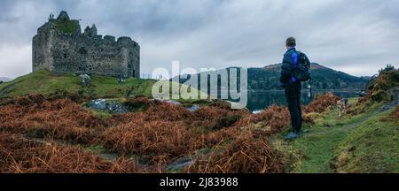 Britische Landschaften: Panoramablick auf die Person mit Hund, die im Winter das Schloss Tioram am Loch Moidart in Schottland anschaut. Stockfoto