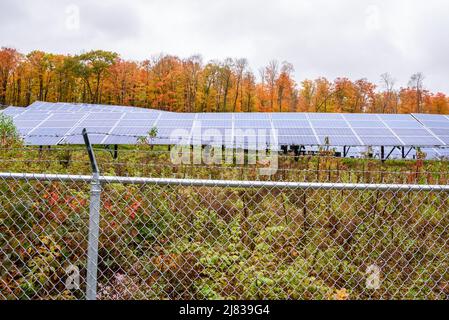 Eingezäuntes Sonnenkraftwerk am Hang mit bunten Herbstbäumen im Hintergrund an einem bewölkten Tag Stockfoto